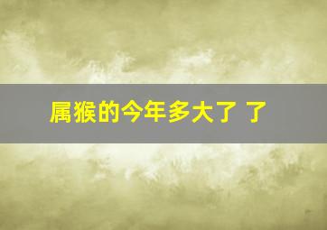 属猴的今年多大了 了